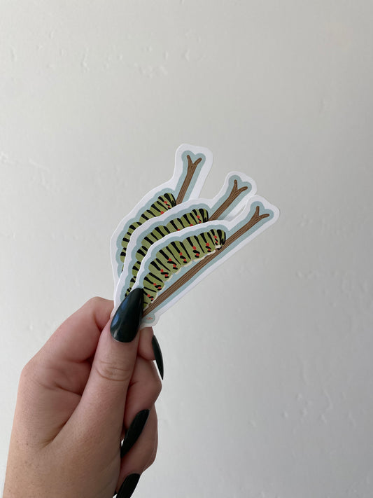 Caterpillar Sticker