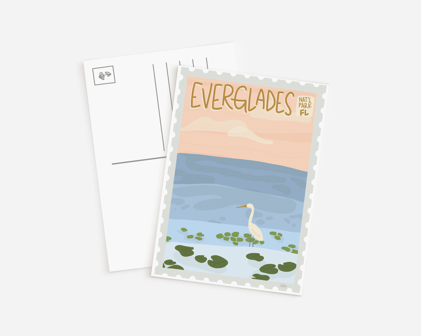 Everglades National Park Postcard