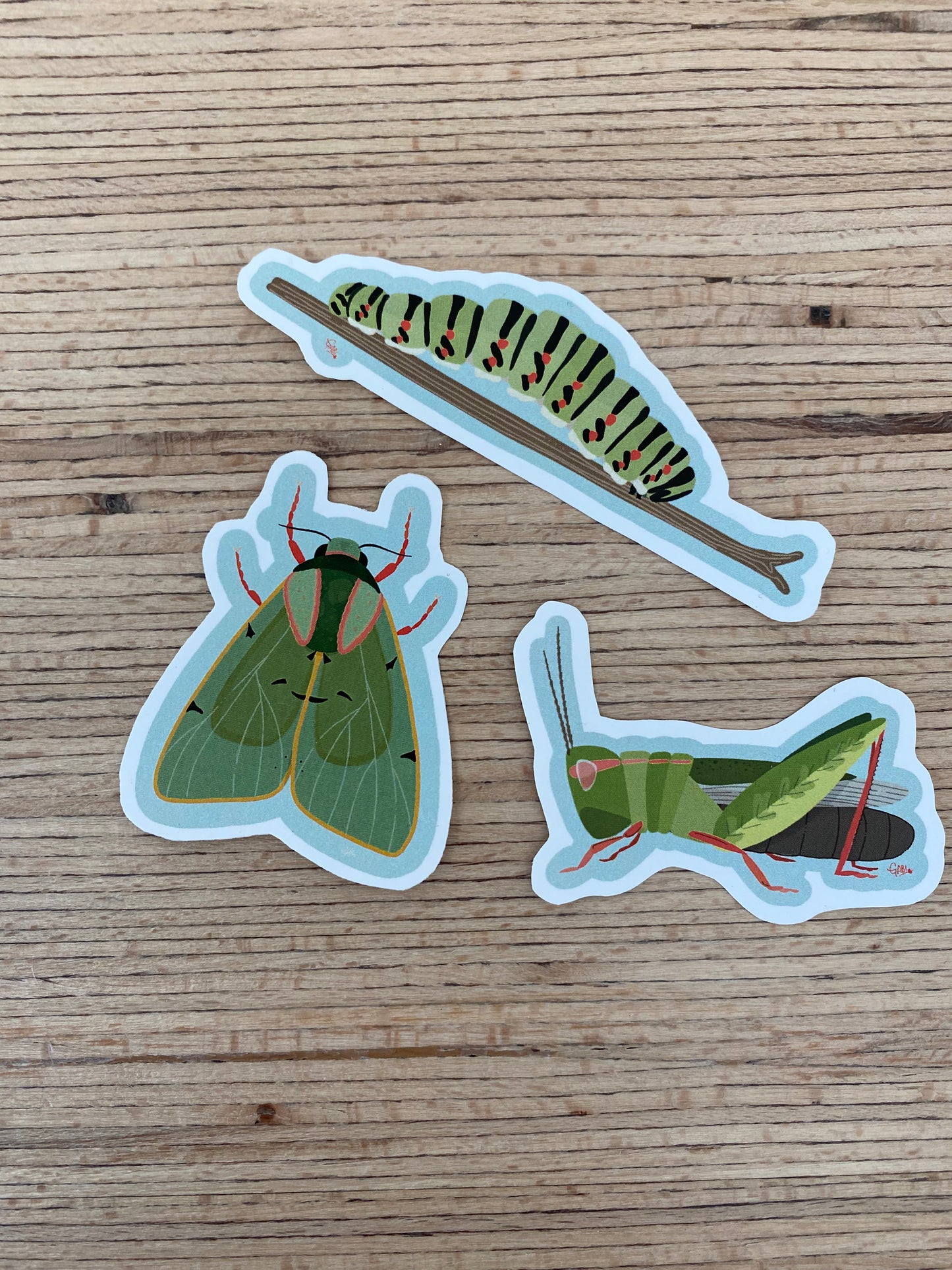 Caterpillar Sticker