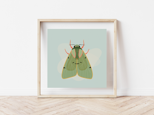 Moth Original Art Print