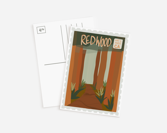 Redwood National Park Postcard