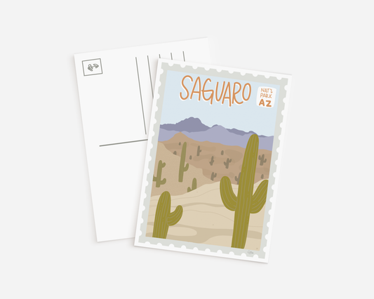 Saguaro National Park Postcard